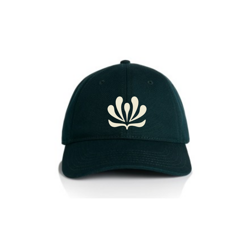 WORKWEAR, SAFETY & CORPORATE CLOTHING SPECIALISTS ACCESS CANVAS CAP